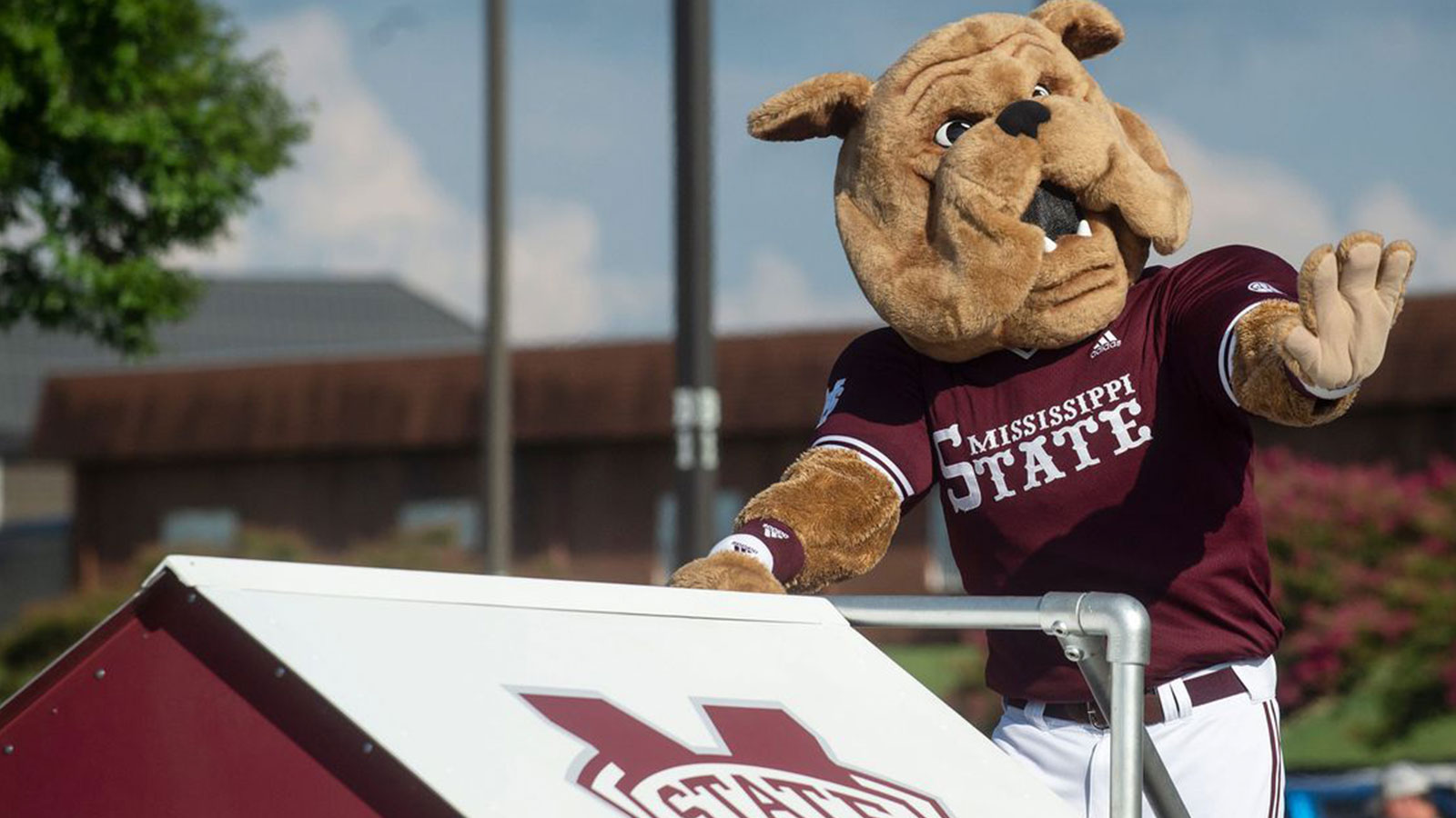 Bully, the Mississippi State mascot